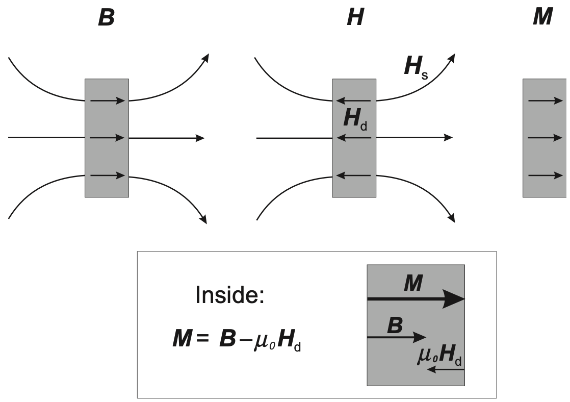 stray_dem_1 stray_dem_1