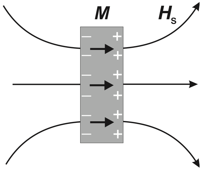stray_dem_2 stray_dem_2